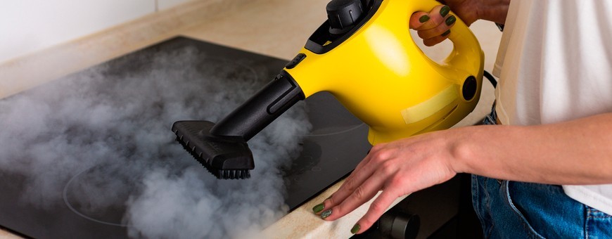 Limpiadoras a vapor